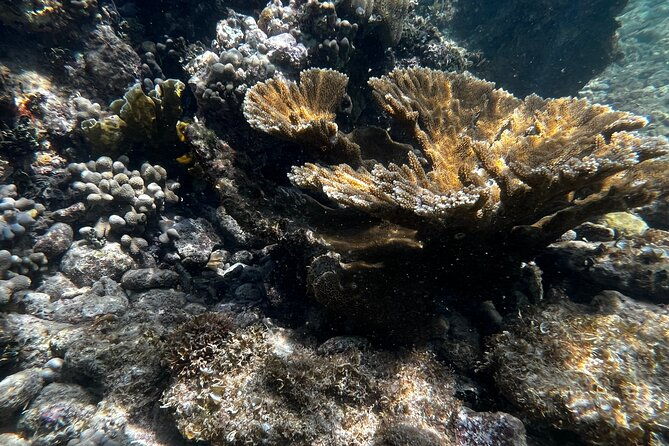 snorkeling-and-kayak-eco-experience