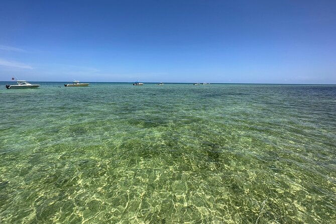 snorkeling-and-sandbar-adventure