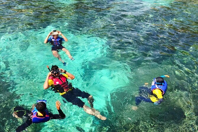 Snorkeling and Swimming in Phu Quoc 1 day trip - Why This Tour Works for You