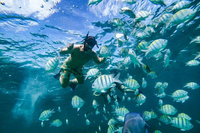 snorkeling-and-swimming-on-a-caribbean-cruise-by-sharky-catamarans