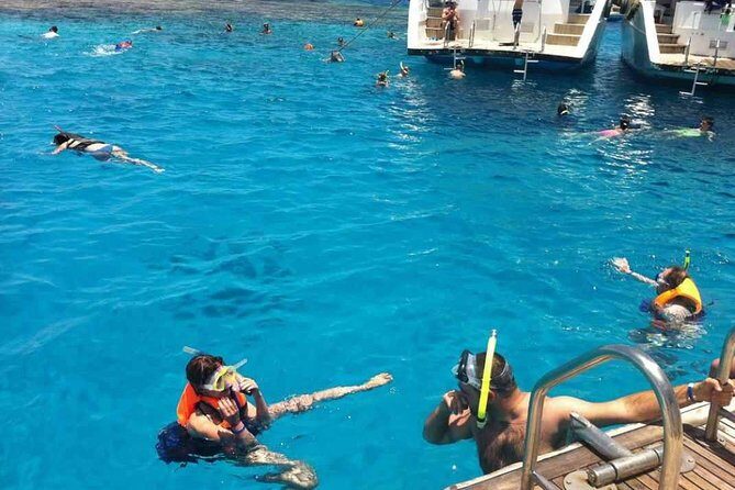 Snorkeling and white island tour in Sharm El Sheikh - In-Depth Look at the Tour Experience