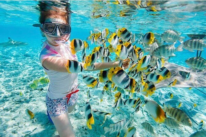 Snorkeling At Blue lagoon And Hidden waterfall - Key Points