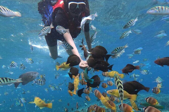 Snorkeling At Blue lagoon And Hidden waterfall - What to Expect From the Tour