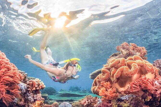 Snorkeling at Blue Lagoon Bali with Lunch and Transport - What You Can Expect from the Tour