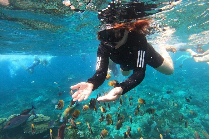 Snorkeling at Blue Lagoon & Tanjung Jepun All Inclusive - Snorkeling at Blue Lagoon & Tanjung Jepun All Inclusive: An In-Depth Review