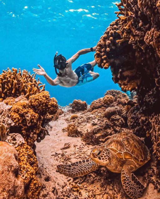 snorkeling-at-blue-lagoon-tanjung-jepun-and-waterfall