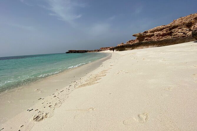 Snorkeling at Dimaniyat Islands and Dolphin Watching - The Islands: A Natural Marine Reserve