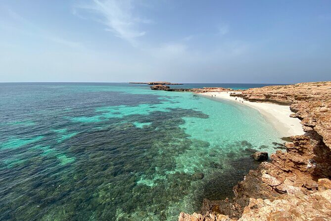Snorkeling at Dimaniyat Islands and Dolphin Watching - Food & Comfort