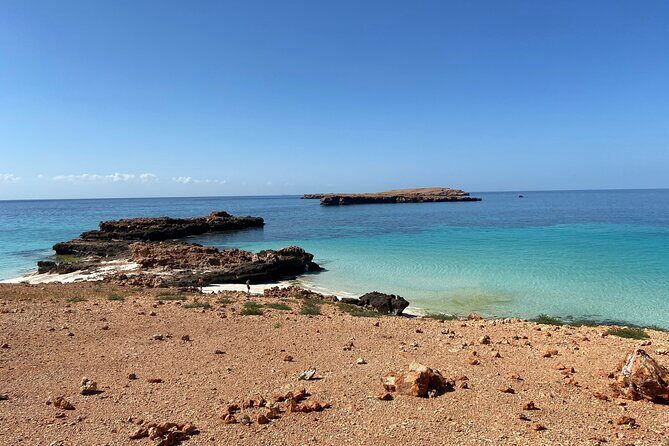 Snorkeling at Dimaniyat Islands and Dolphin Watching - End of Tour & Return