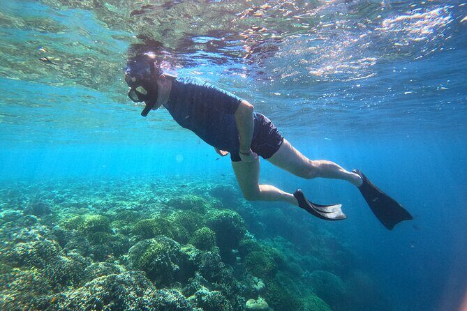 Snorkeling at Menjangan Island Bali Hidden Underwater Gem - Key Points