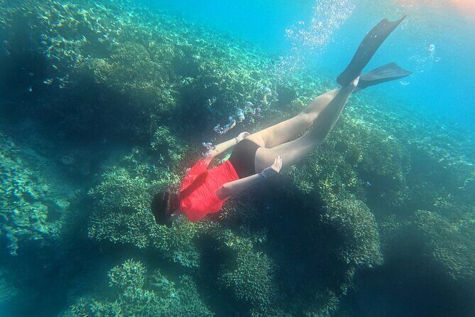 Snorkeling at Menjangan Island Bali Hidden Underwater Gem - An In-Depth Look at the Menjangan Island Snorkeling Experience