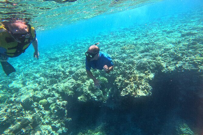 Snorkeling at Menjangan Island Bali Hidden Underwater Gem - Final Thoughts