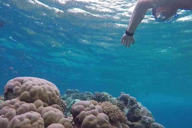 Snorkeling At Misali Island - Who Should Consider This Tour?  