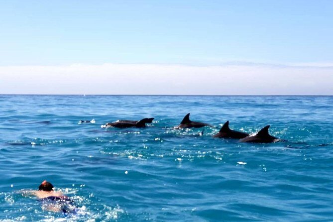 Snorkeling at Mnemba Atoll - A Deep Dive into the Experience