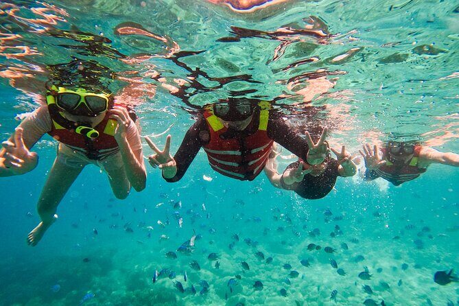 Snorkeling at Nha Trang Bay - The Authentic Experiences That Stand Out