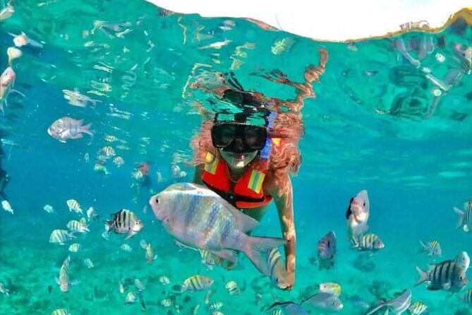 Snorkeling at Nha Trang Bay - Who Should Book This Tour?