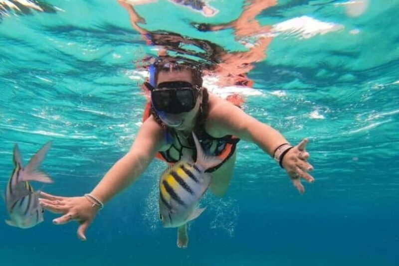 Snorkeling at Pigeon Island Trincomalee - Key Points