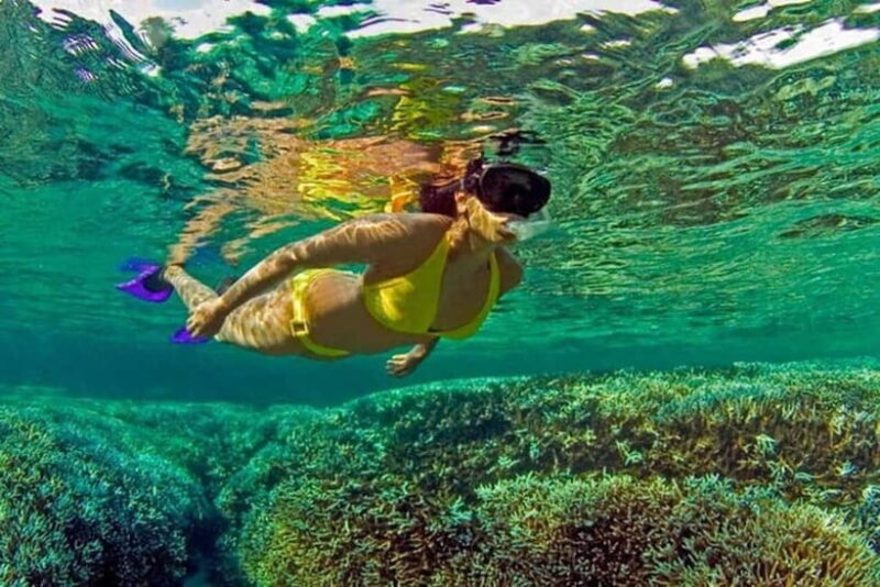 Snorkeling at Pigeon Island Trincomalee - An In-Depth Look at the Snorkeling Tour