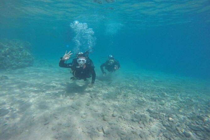 Snorkeling at Ras Mohamed in Sharm El Sheikh - The Experience Breakdown