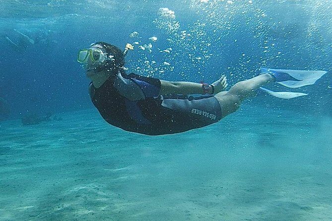Snorkeling at White Island & Ras Mohammed - Sharm El-Sheikh - Final Thoughts: Who Will Love This Tour