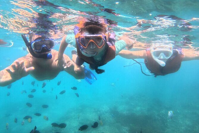 Snorkeling Blue Lagoon and Tanjung Jepun All Inclusive - Key Points