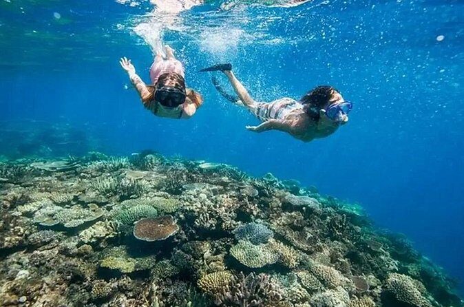 Snorkeling Blue Lagoon and Tanjung Jepun All Inclusive - FAQ