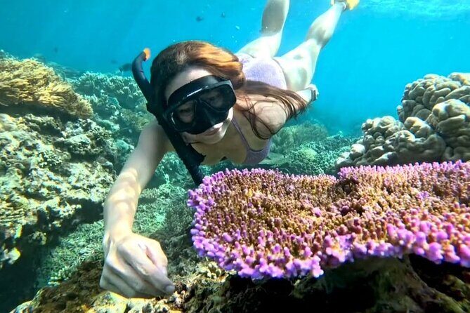Snorkeling Blue Lagoon With lunch - Introduction