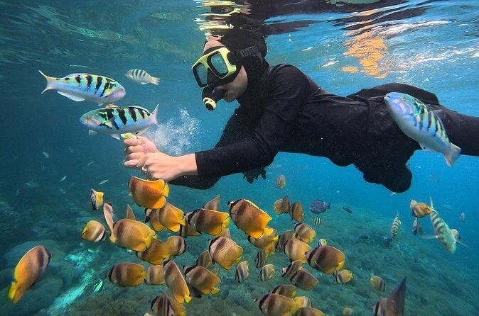 Snorkeling Blue Lagoon With lunch - Practical Aspects: Price, Duration, and Group Size