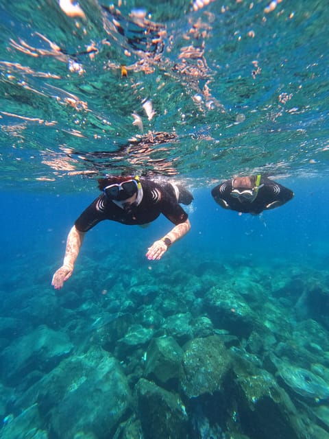 snorkeling-boat-trip-in-marine-turtles-natural-habitat