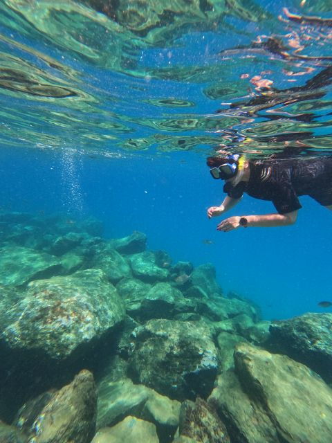 snorkeling-boat-trip-in-marine-turtles-natural-habitat