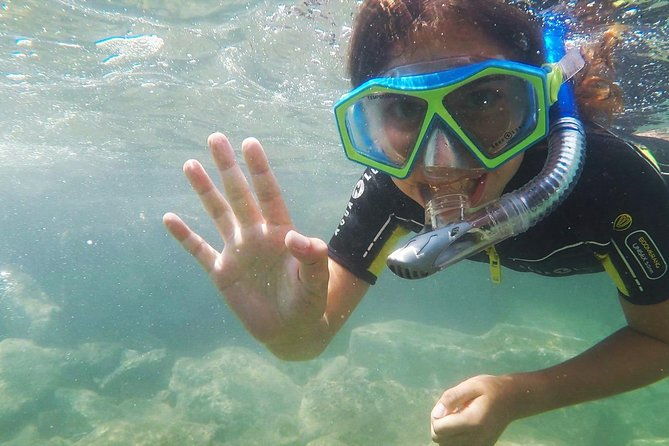 snorkeling-by-boat-on-site-in-the-bay-of-cannes-or-esterel-2