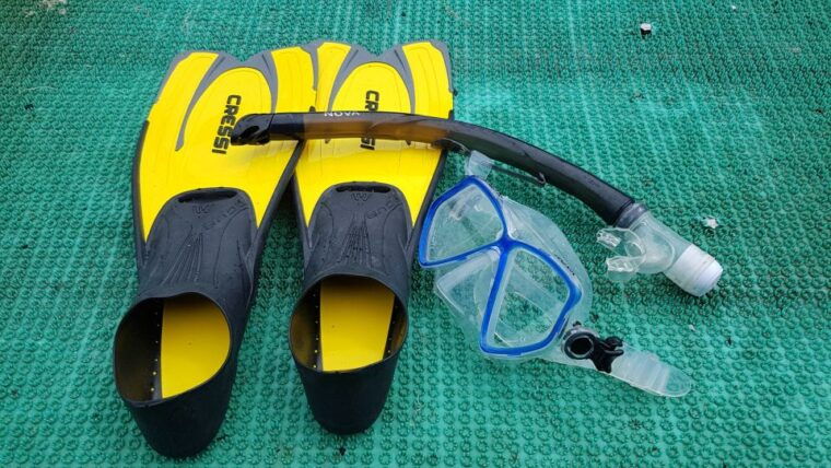 snorkeling-cham-island-snorkeling-tour-by-speed-boat