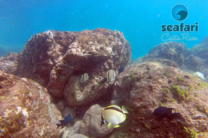 snorkeling-costa-rica