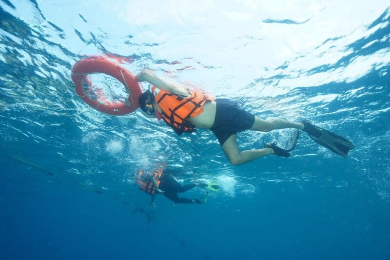 snorkeling-course-become-a-confident-snorkeler