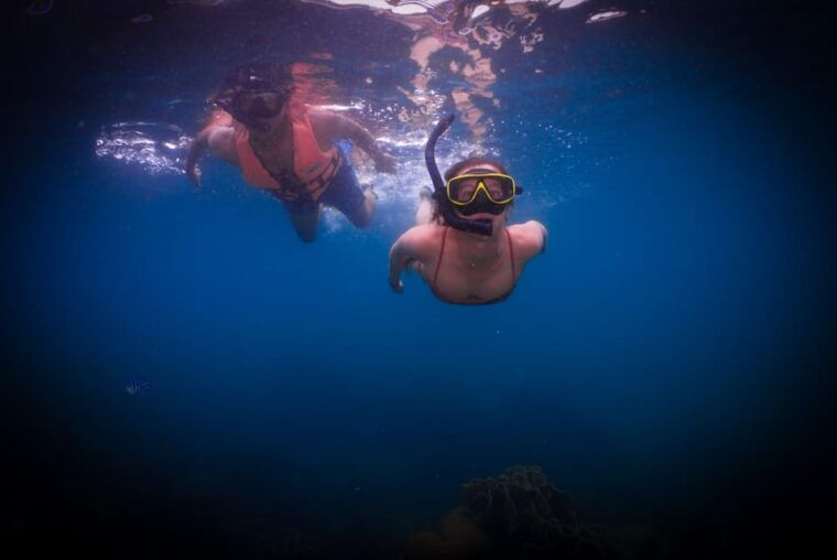 snorkeling-course-become-a-confident-snorkeler