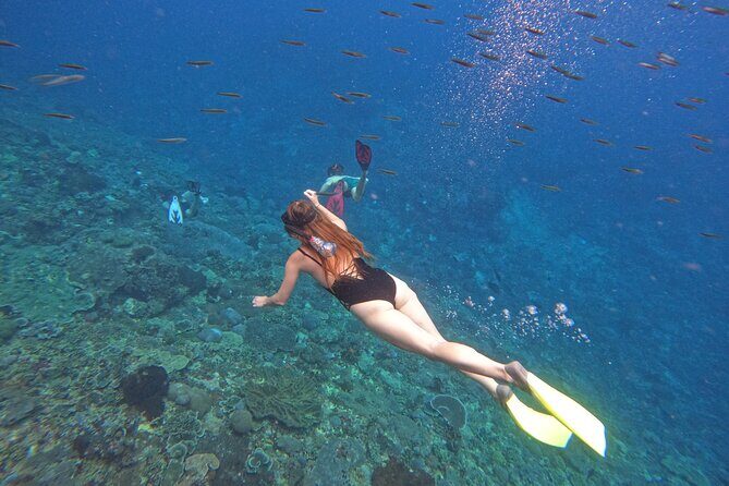 Snorkeling Day Trip to Nusa Lembongan and Nusa Penida - Transport & Group Size