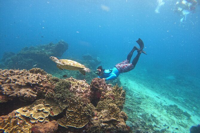 Snorkeling Day Trip to Nusa Lembongan and Nusa Penida - Final Thoughts