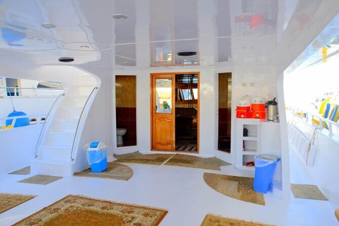 Snorkeling Day Trip To Ras Mohamed And White Island By Boat-sharm - Key Points