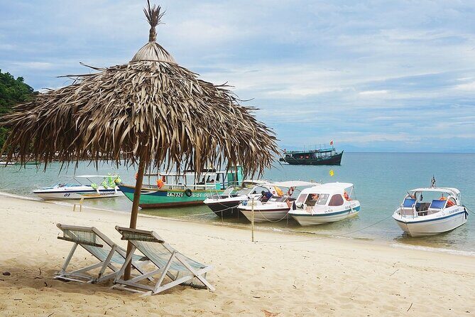 Snorkeling Day Trips to Cham Island from Hoi An and Da Nang - The Sum Up