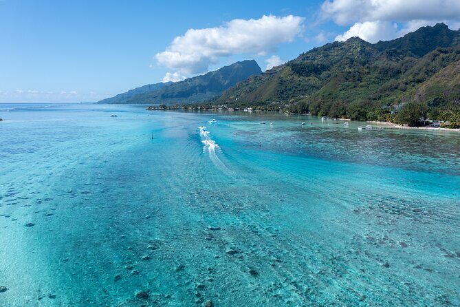 Snorkeling excursion and encounter with marine fauna in Moorea - A Deep Dive into the Moorea Tiki Tour Experience