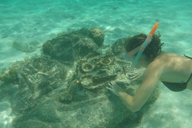 Snorkeling excursion and encounter with marine fauna in Moorea - The Sum Up