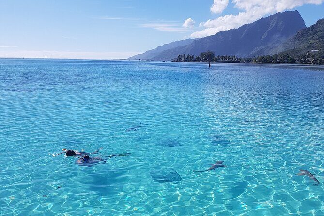 Snorkeling excursion, discovery of the lagoon, small group. - FAQs