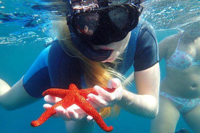 snorkeling-excursion-in-tabarca-island