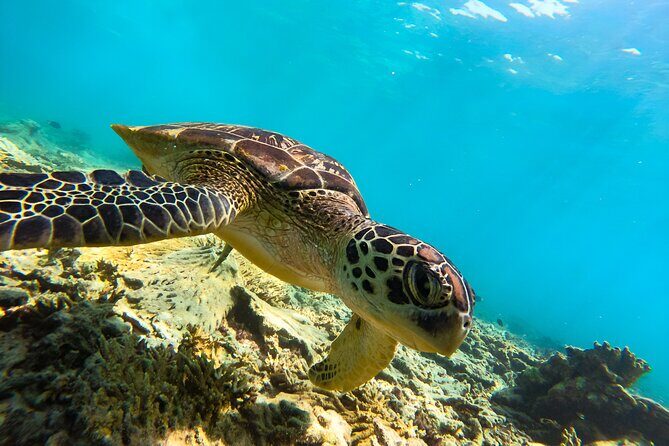 Snorkeling Experience at Ad Daymaniyat Islands in Muscat - What to Expect During the Trip