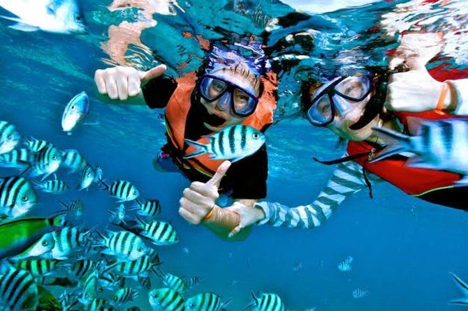 Snorkeling Experience At Blue Lagoon Bali With Lunch And Transfers - Comprehensive Review of the Snorkeling Experience at Blue Lagoon Bali With Lunch and Transfers