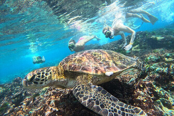 Snorkeling Experience in Nusa Penida with 4 Snorkeling Spots - Snorkeling Experience in Nusa Penida with 4 Snorkeling Spots: An Honest Review