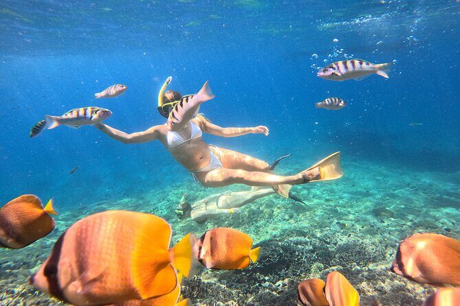 Snorkeling Experience in Nusa Penida with 4 Snorkeling Spots - Key Points