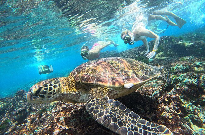 Snorkeling Experience in Nusa Penida with 4 Snorkeling Spots - The Sum Up: Is This Tour Worth It?