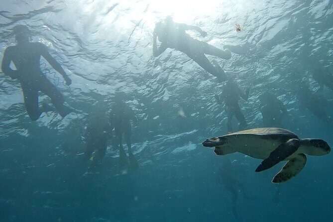 Snorkeling Experience in Santa Maria Bay by boat - Authentic Insights from Reviewers