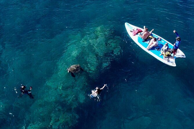Snorkeling for Non-Swimmers Guided Tour - Wailea Beach - Reviews in Depth: What Guests Say